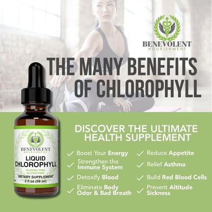 Liquid Chlorophyll Drops 1-4 Bottles Set (4-12 Month Supply) Healthcare Supplement - Natural Body Deodorant and Detox - Gut Support Healthcare Liver [BFNFVOLFNT] Edible Dietary