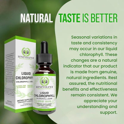 Liquid Chlorophyll Drops 1-4 Bottles Set (4-12 Month Supply) Healthcare Supplement - Natural Body Deodorant and Detox - Gut Support Healthcare Liver [BFNFVOLFNT] Edible Dietary