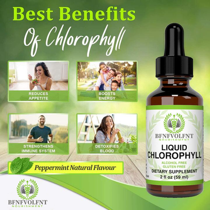 Liquid Chlorophyll Drops 1-4 Bottles Set (4-12 Month Supply) Healthcare Supplement - Natural Body Deodorant and Detox - Gut Support Healthcare Liver [BFNFVOLFNT] Edible Dietary