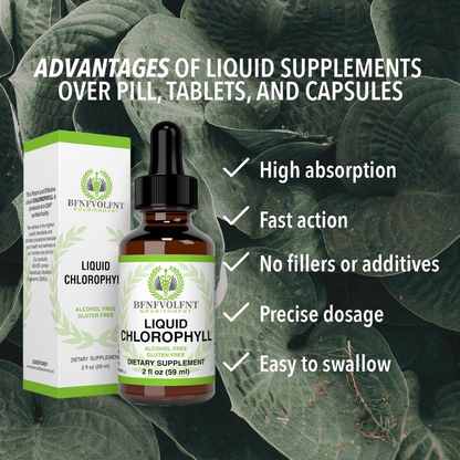 Liquid Chlorophyll Drops 1-4 Bottles Set (4-12 Month Supply) Healthcare Supplement - Natural Body Deodorant and Detox - Gut Support Healthcare Liver [BFNFVOLFNT] Edible Dietary